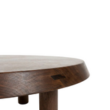 white-bg sora walnut coffee table